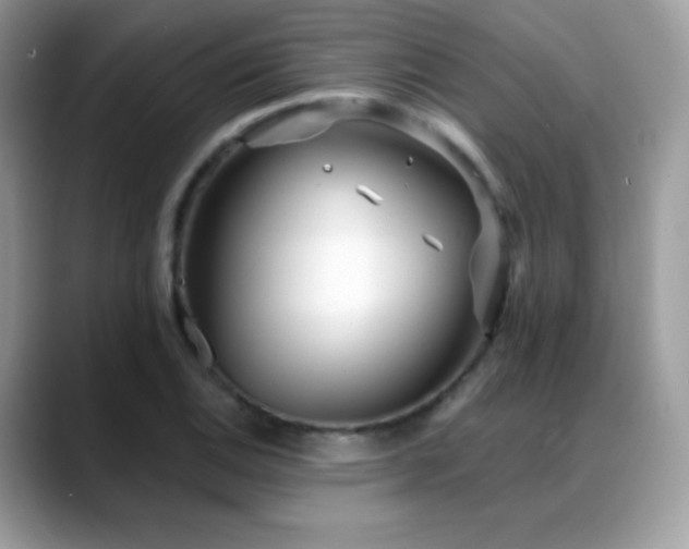 X0000088921124200706081354
