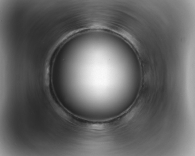 X0000088921126200706081354