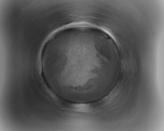 X0000088921127200706081354