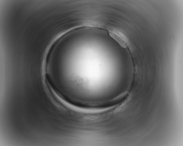 X0000088921128200706081354
