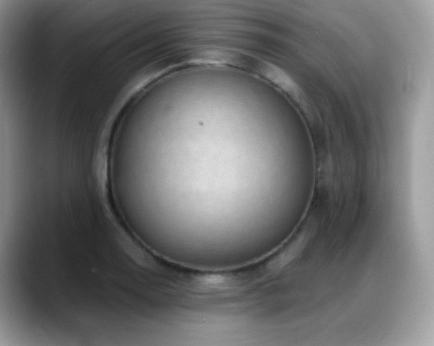 X0000088921130200706081354