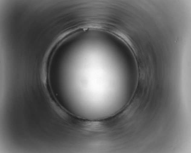 X0000088921131200706081354