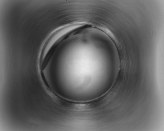 X0000088921132200706081354
