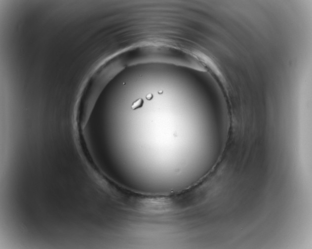 X0000088921133200706081354