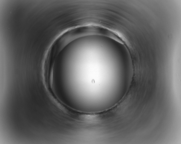 X0000088921134200706081354