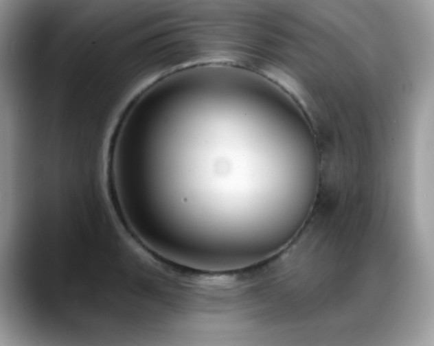 X0000088921135200706081354