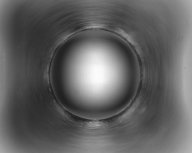 X0000088921137200706081354