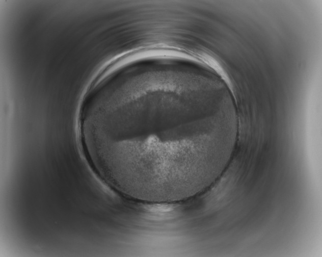 X0000088921141200706081355