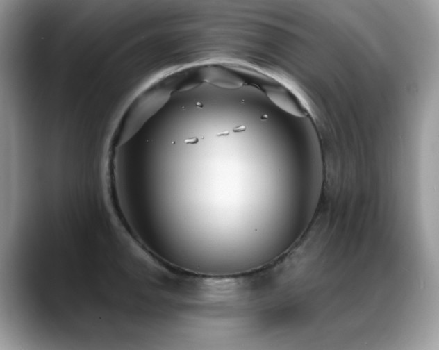 X0000088921142200706081355