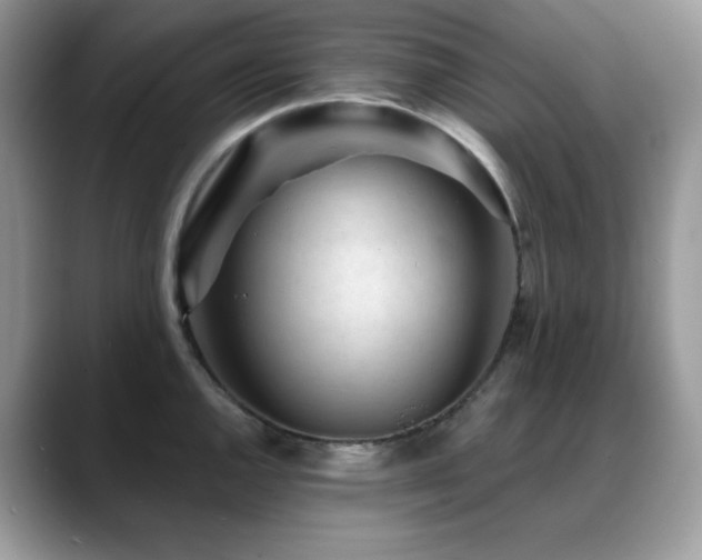 X0000088921144200706081355