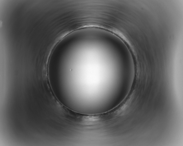 X0000088921145200706081355