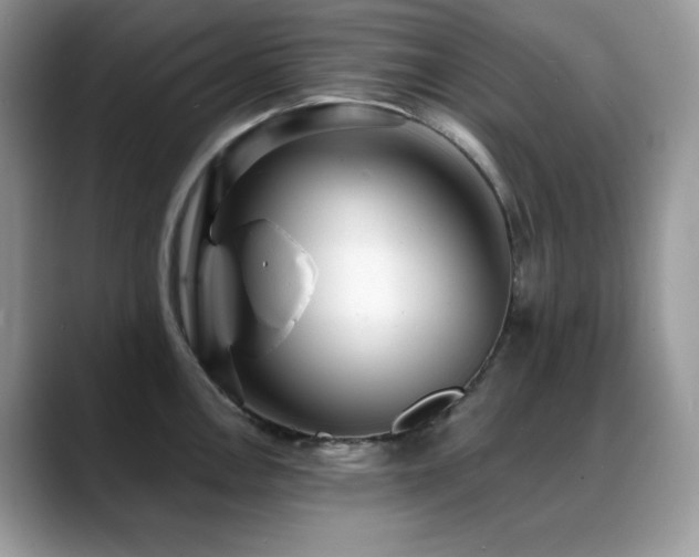 X0000088921146200706081355