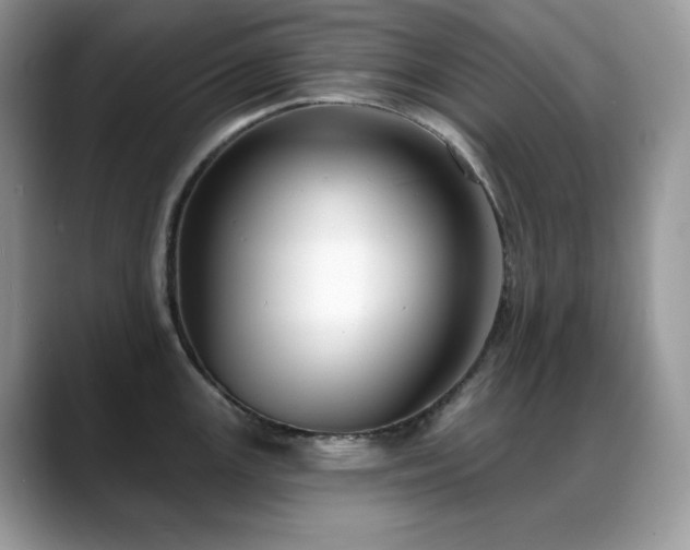 X0000088921147200706081355