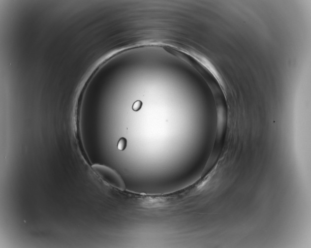 X0000088921148200706081355