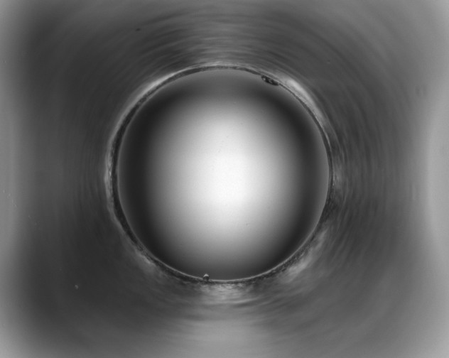 X0000088921149200706081355