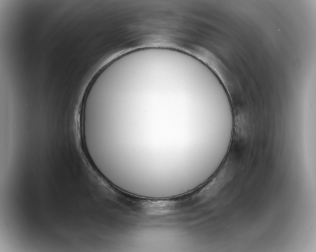 X0000088921150200706081355