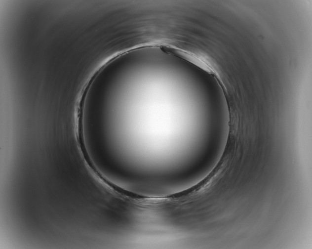 X0000088921151200706081355