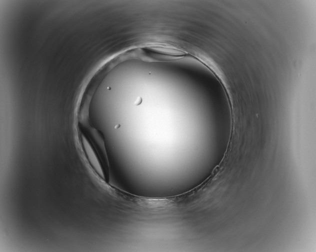 X0000088921152200706081355