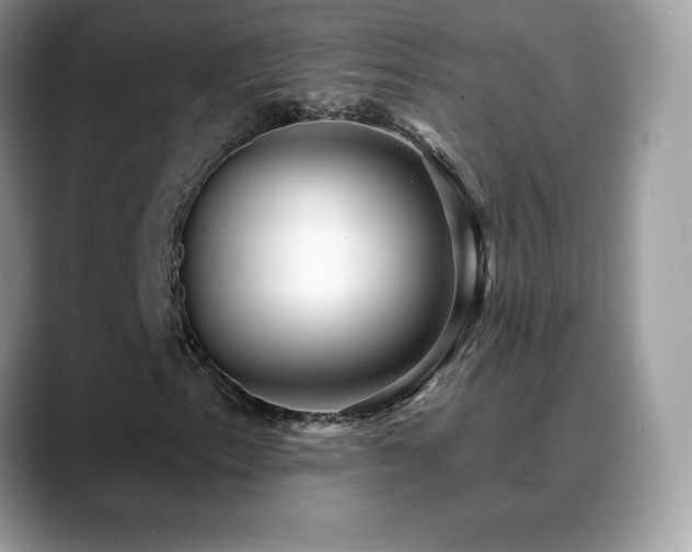 X0000088921153200706081354