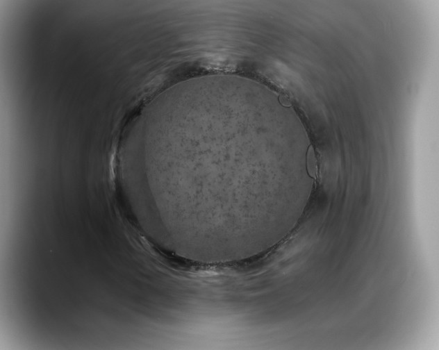 X0000088921154200706081354