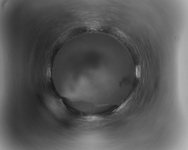 X0000088921155200706081354