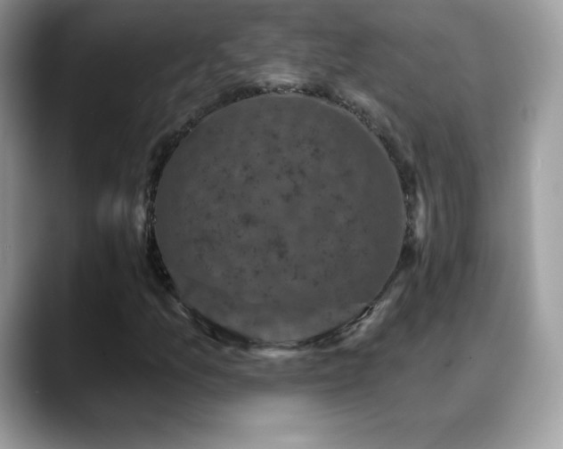 X0000088921157200706081354