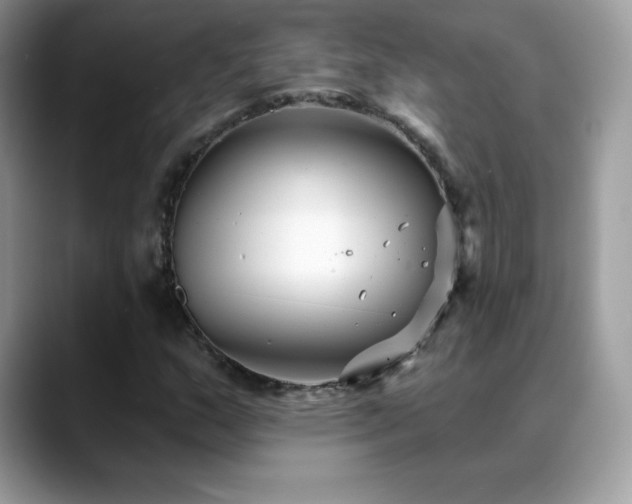 X0000088921159200706081354