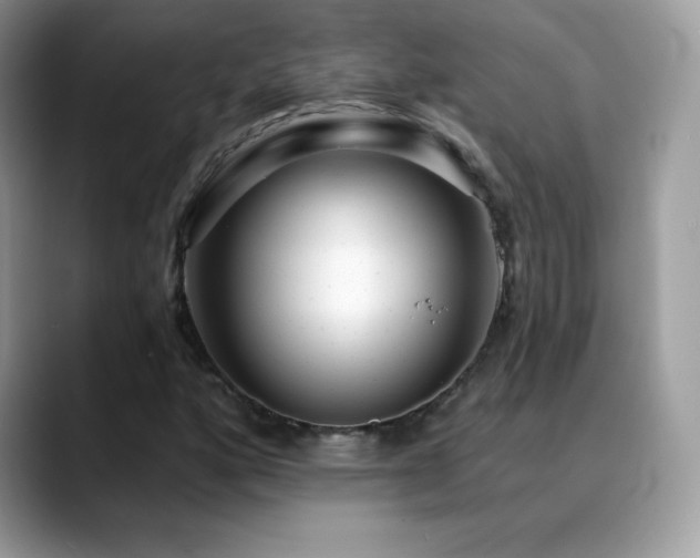X0000088921160200706081354