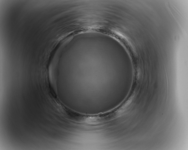 X0000088921161200706081354