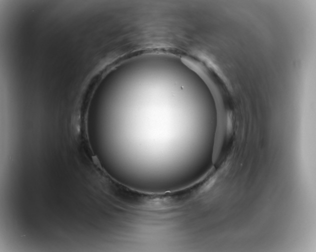 X0000088921165200706081354