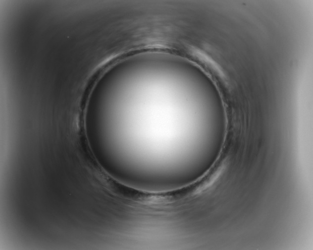 X0000088921166200706081354