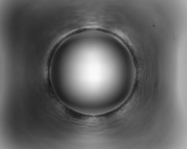 X0000088921167200706081354