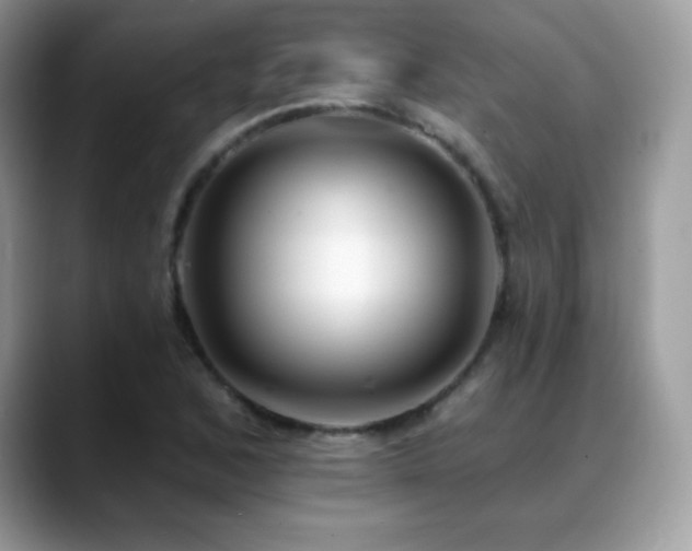 X0000088921168200706081354
