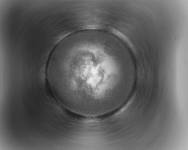 X0000088921170200706081354