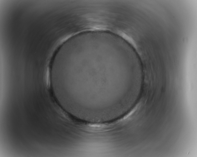 X0000088921171200706081354