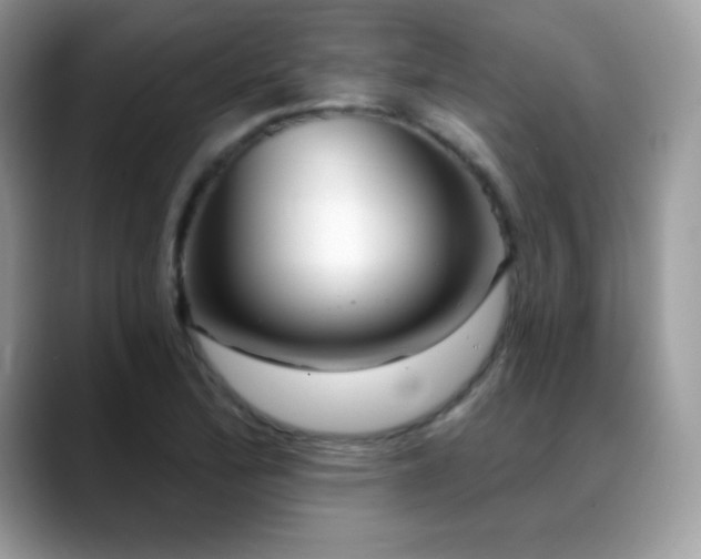 X0000088921172200706081354