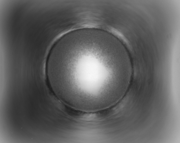 X0000088921174200706081354