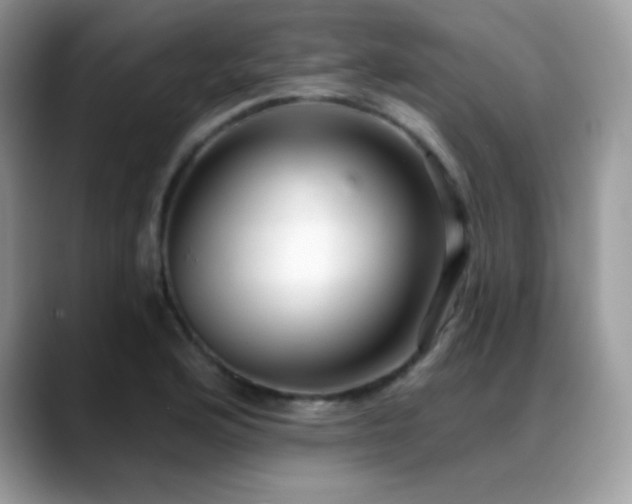 X0000088921176200706081354