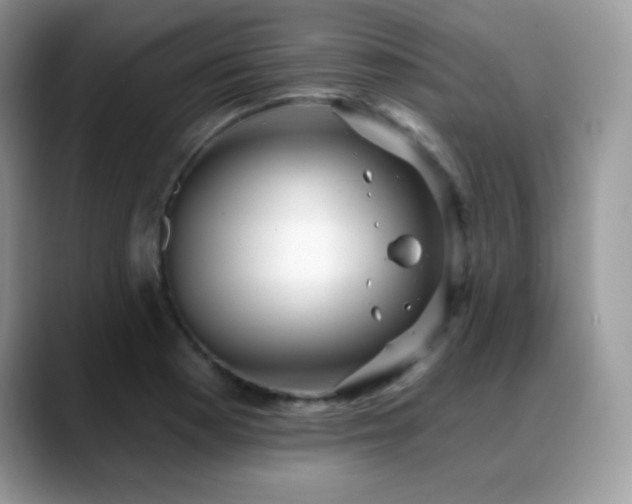 X0000088921177200706081354