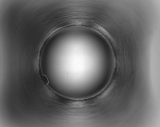 X0000088921178200706081354