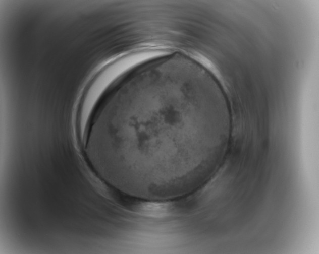 X0000088921179200706081354
