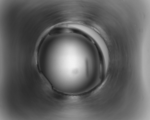 X0000088921180200706081354