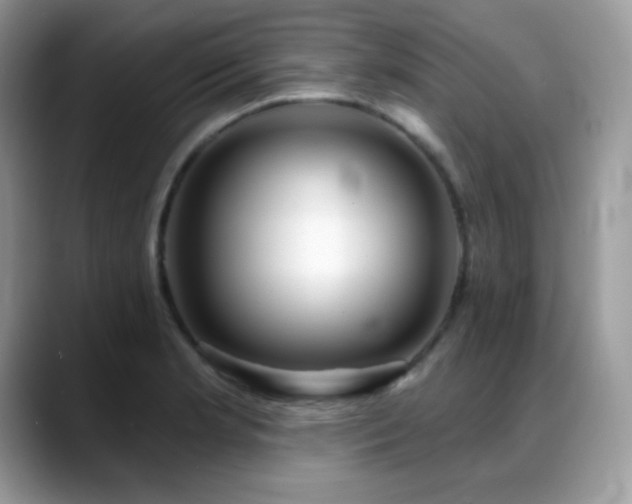 X0000088921181200706081354