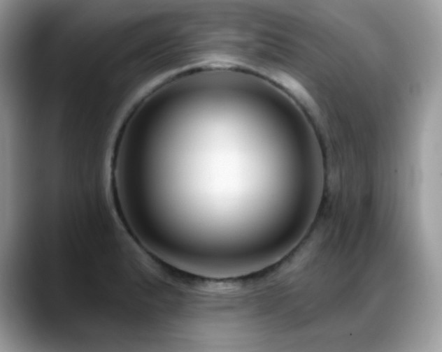 X0000088921183200706081354