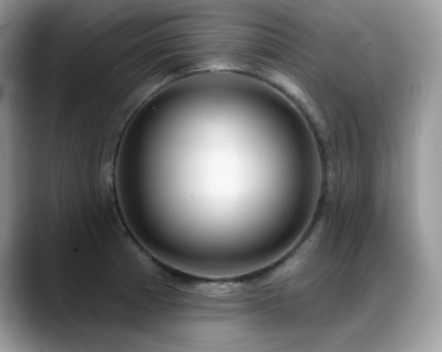 X0000088921185200706081354