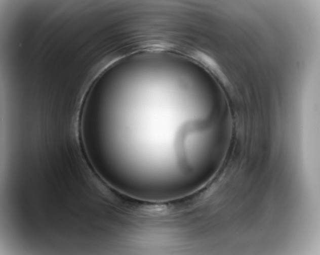 X0000088921186200706081354