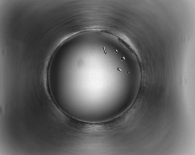 X0000088921187200706081354