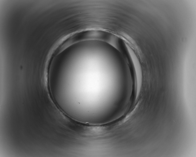 X0000088921188200706081354