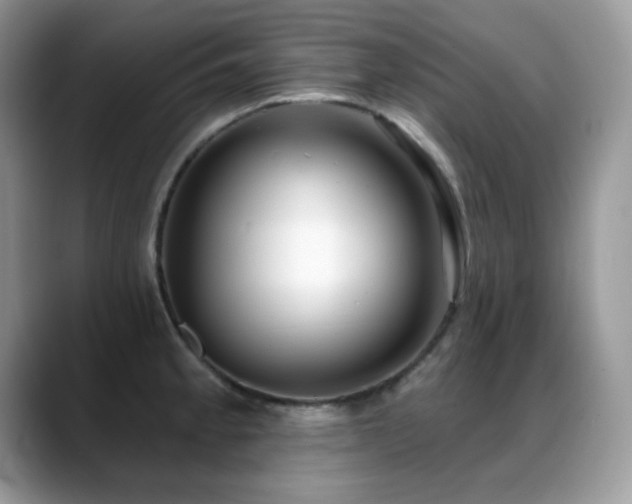 X0000088921189200706081354