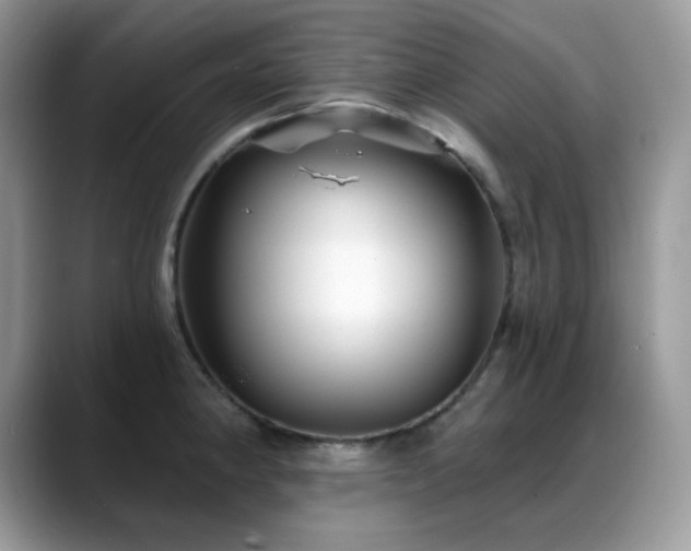 X0000088921190200706081354